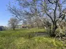 Komárom-Esztergom megye - Kömlőd