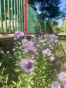 Komárom-Esztergom megye - Réde