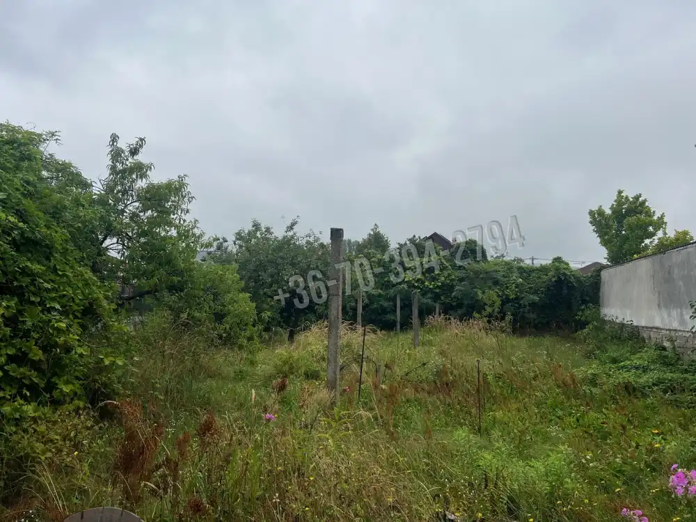 Komárom-Esztergom megye - Tatabánya