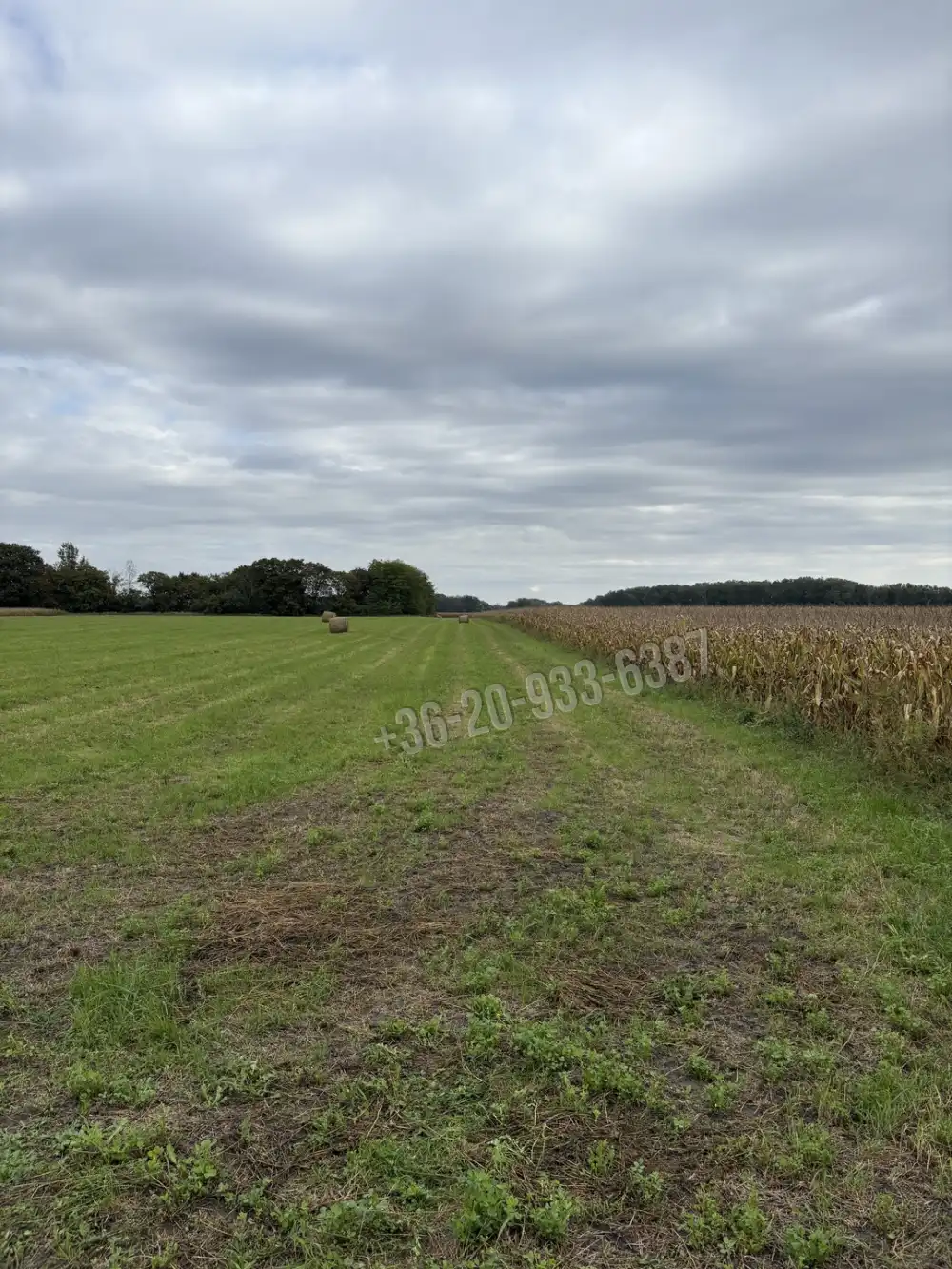 Győr-Moson-Sopron megye - Abda