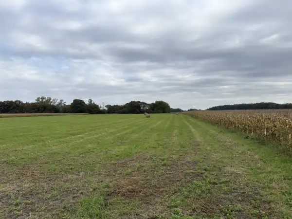 Eladó Építési telek, Abda 1169 m² 35 M Ft