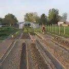 Győr-Moson-Sopron megye - Dunasziget