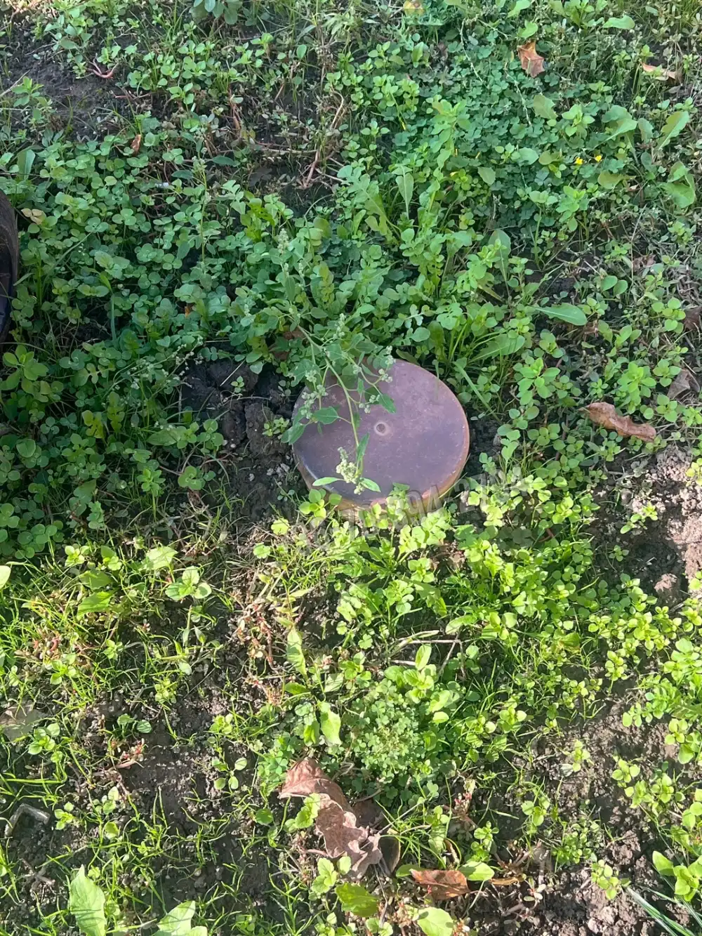 Komárom-Esztergom megye - Kömlőd