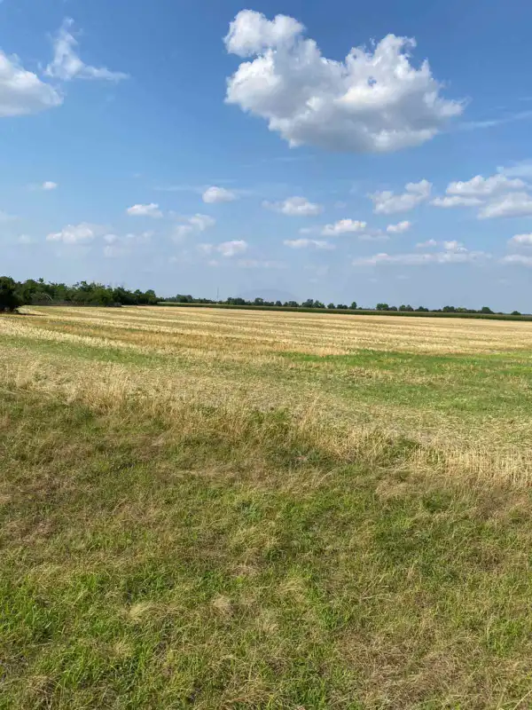 Eladó Építési telek, Mezőörs 1774 m² 18.9 M Ft