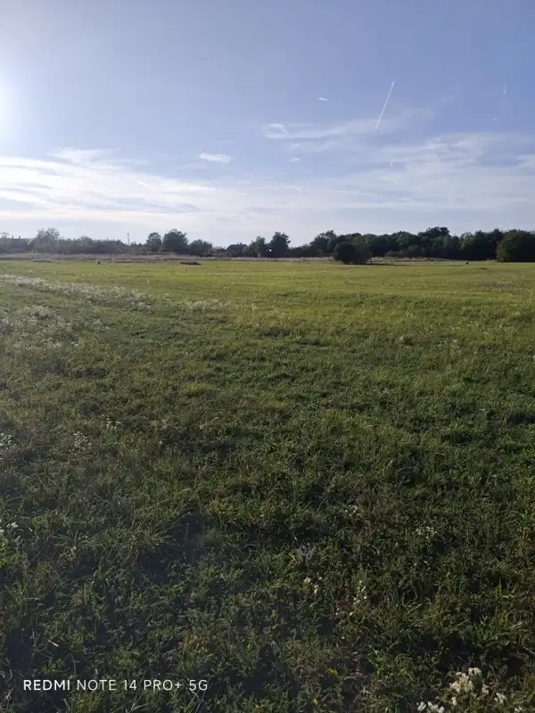 Eladó Építési telek, Mindszentpuszta 1790 m² 16.5 M Ft