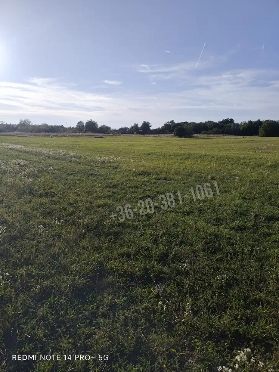 eladó  Építési telek, Mindszentpuszta