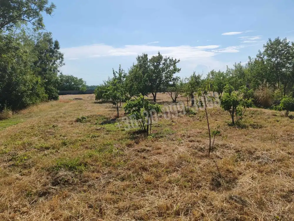 Győr-Moson-Sopron megye - Mosonmagyaróvár