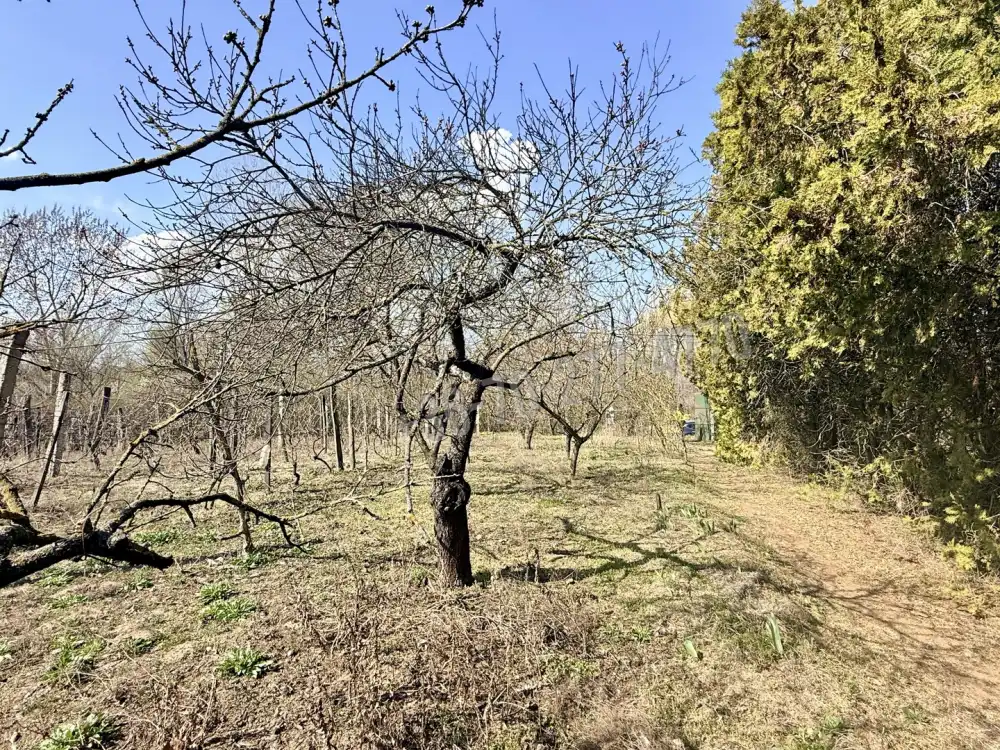 Komárom-Esztergom megye - Oroszlány