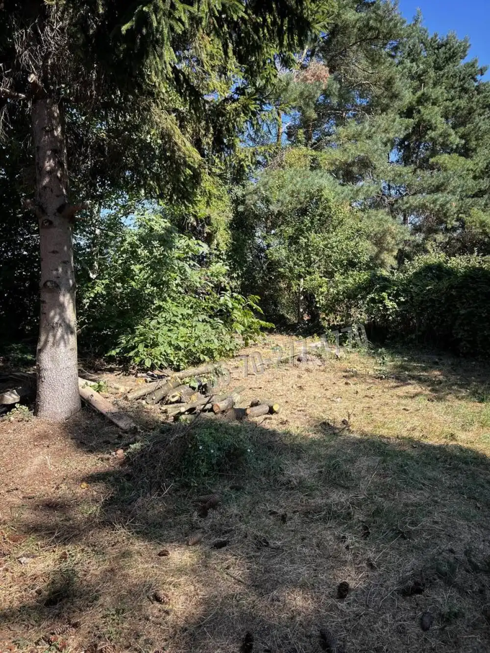 Komárom-Esztergom megye - Oroszlány