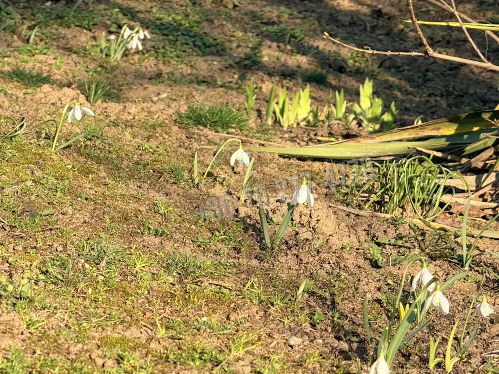Komárom-Esztergom megye - Oroszlány