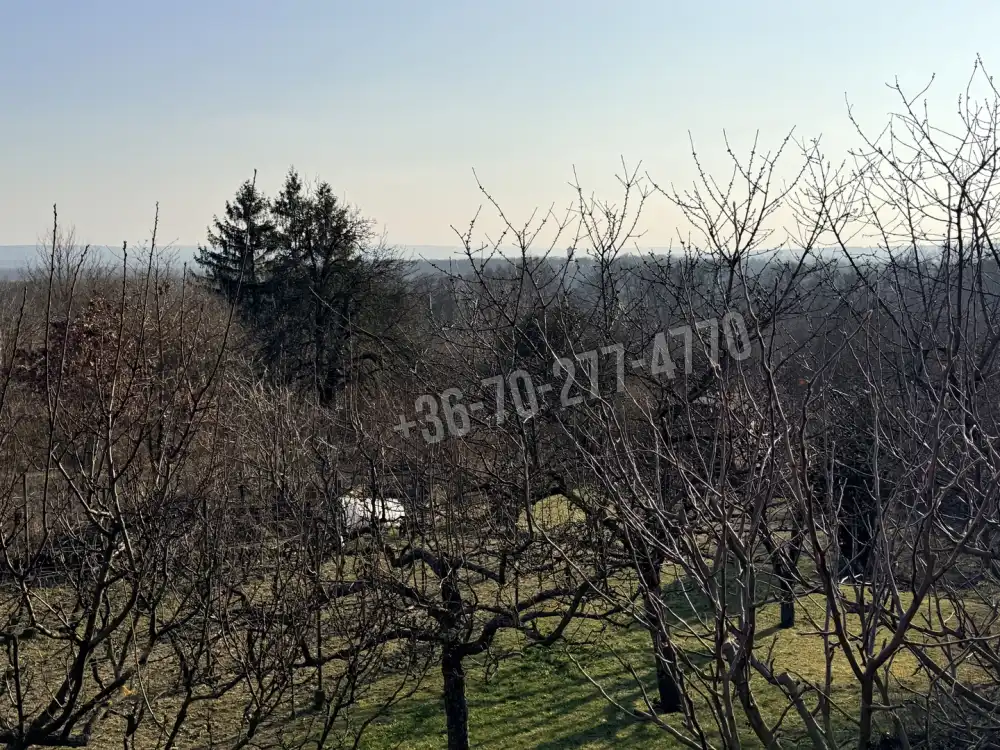 Komárom-Esztergom megye - Oroszlány