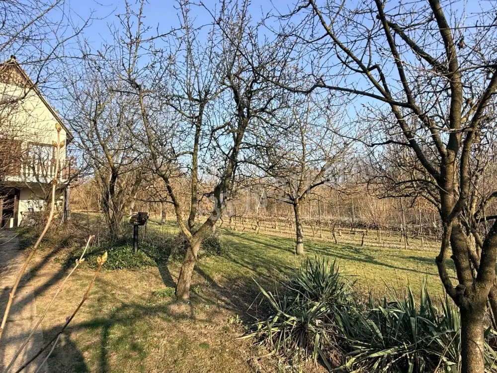 Komárom-Esztergom megye - Oroszlány