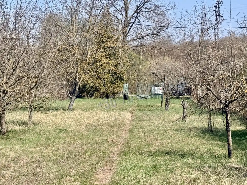 Komárom-Esztergom megye - Oroszlány