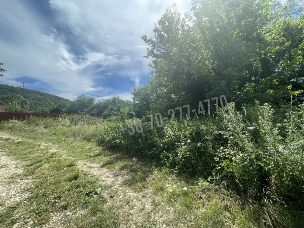 Komárom-Esztergom megye - Tatabánya