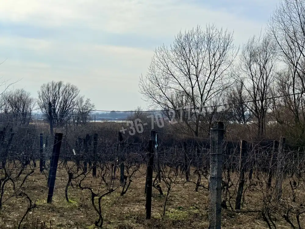 Komárom-Esztergom megye - Oroszlány