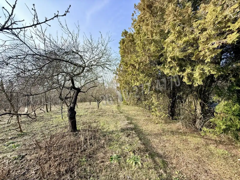 Komárom-Esztergom megye - Oroszlány