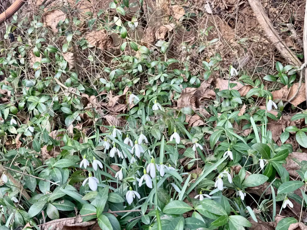 Komárom-Esztergom megye - Oroszlány