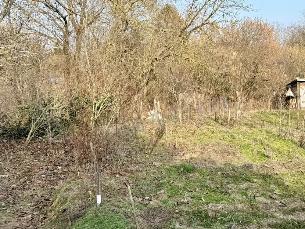 Komárom-Esztergom megye - Oroszlány