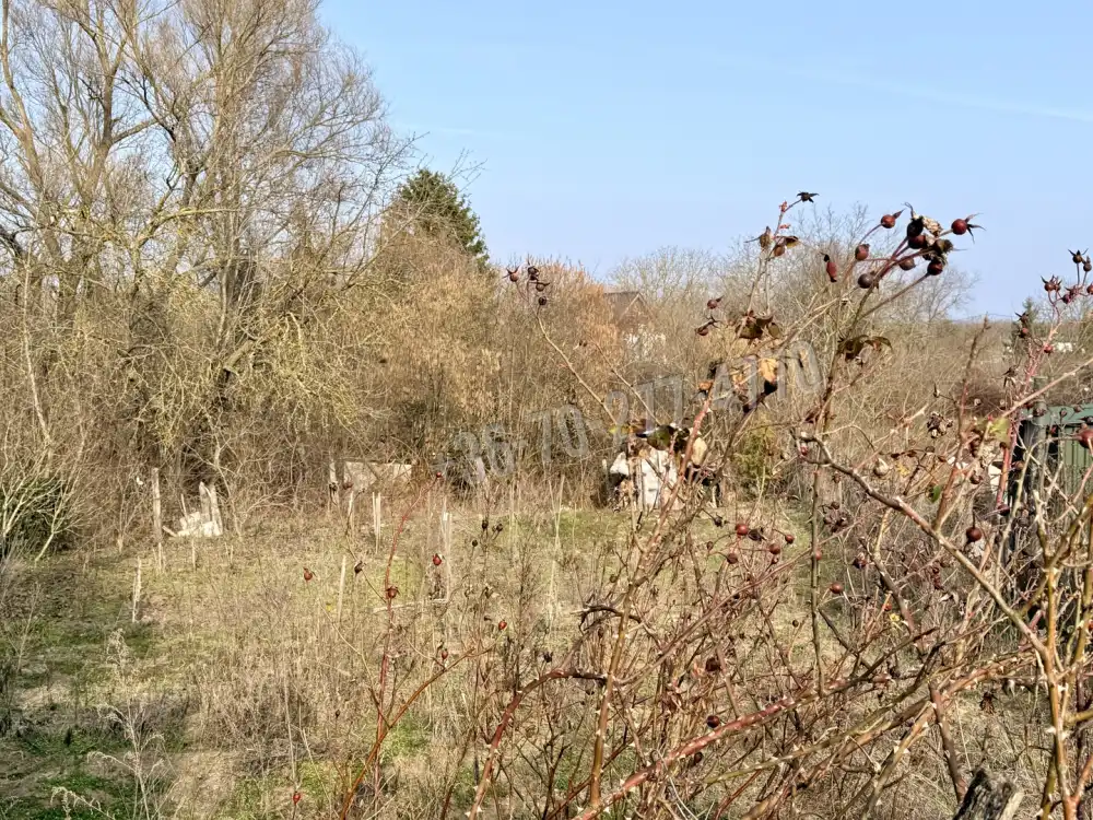 Komárom-Esztergom megye - Oroszlány