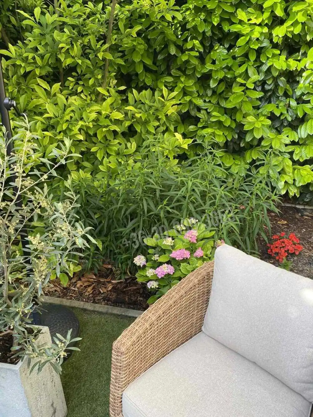 Győr-Moson-Sopron megye - Mosonmagyaróvár