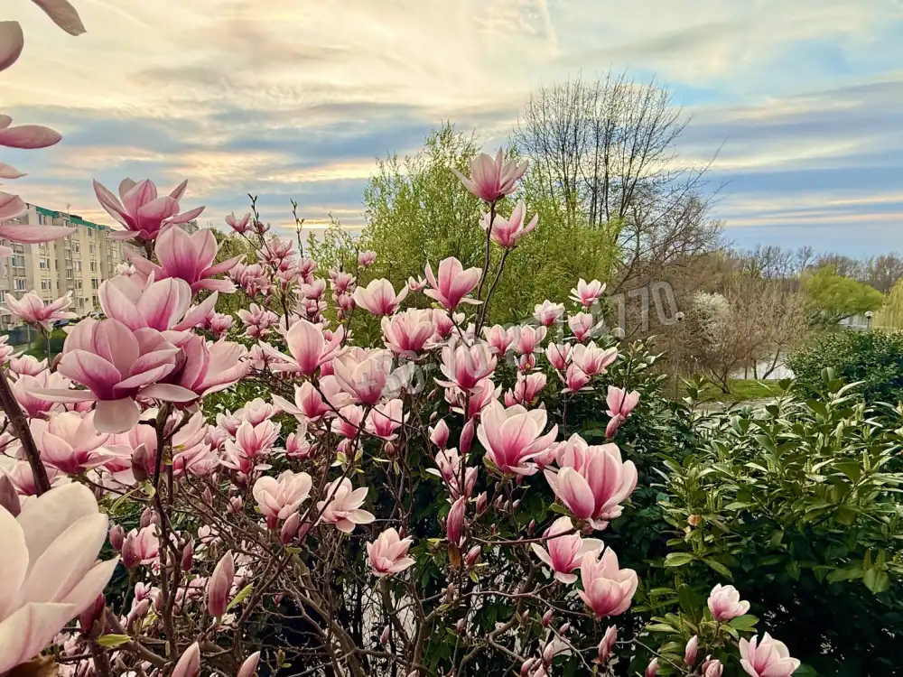 Komárom-Esztergom megye - Oroszlány